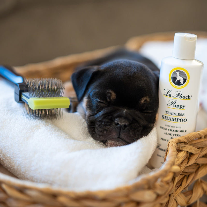 Pack chiot Les Poochs pour premiers soins de bain