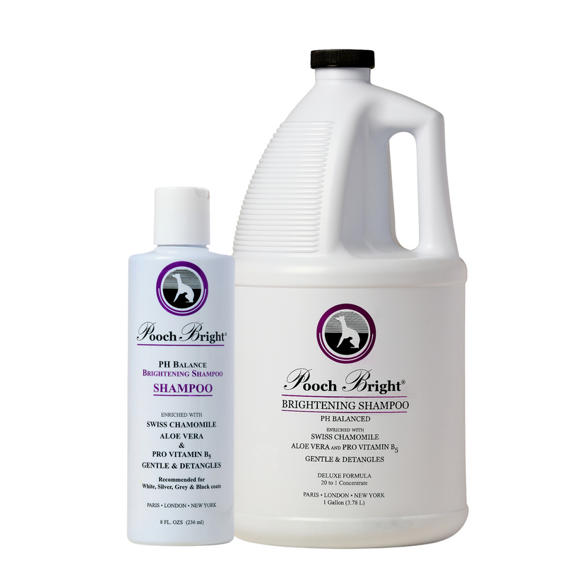 Shampoings de toilettage naturel pour chien presentes dans la boutique